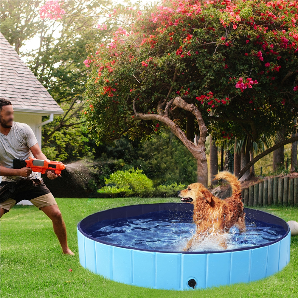 Alden Design 63'' Foldable Pet Swimming Pool for Indoor and Outdoor, Blue