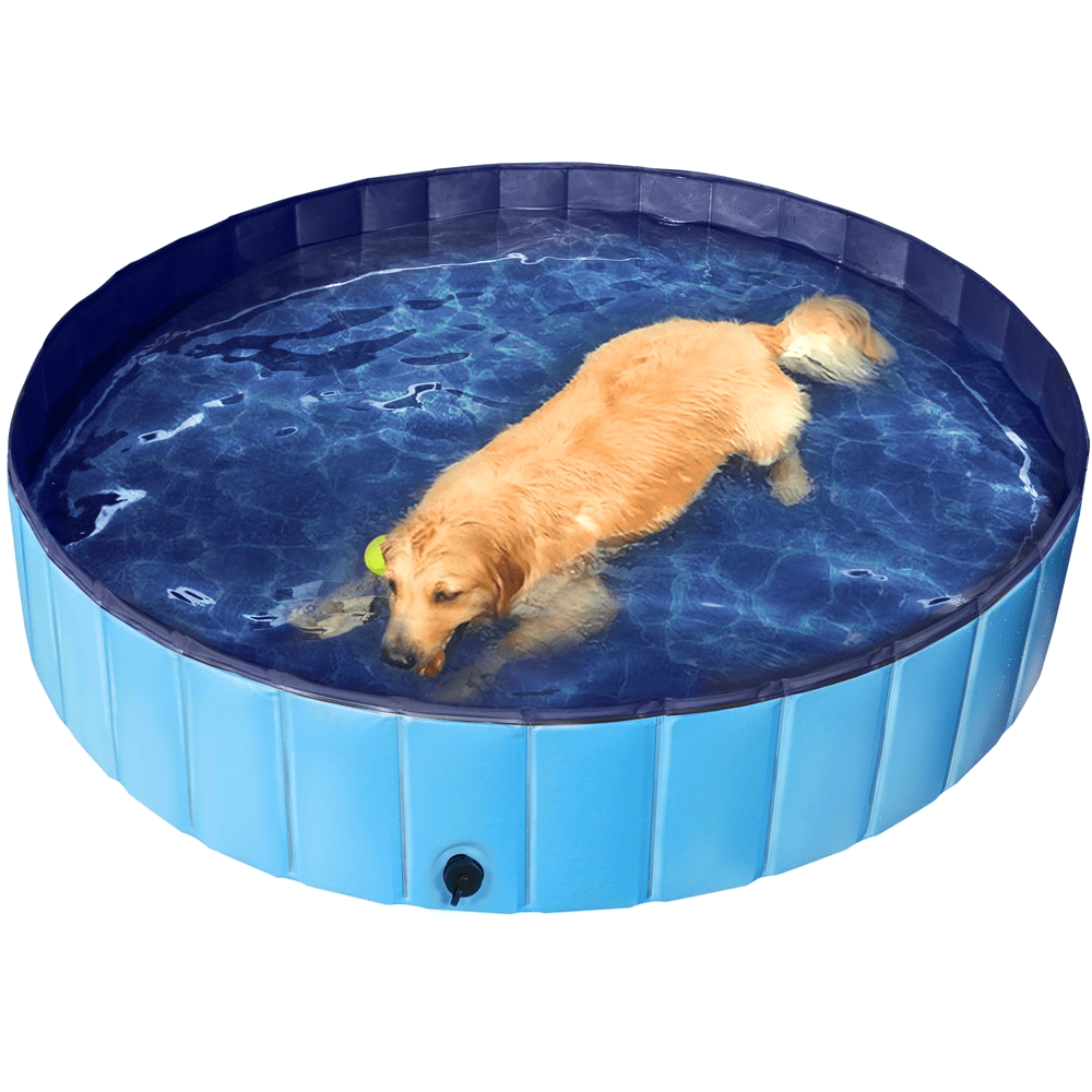 Alden Design 63'' Foldable Pet Swimming Pool for Indoor and Outdoor, Blue