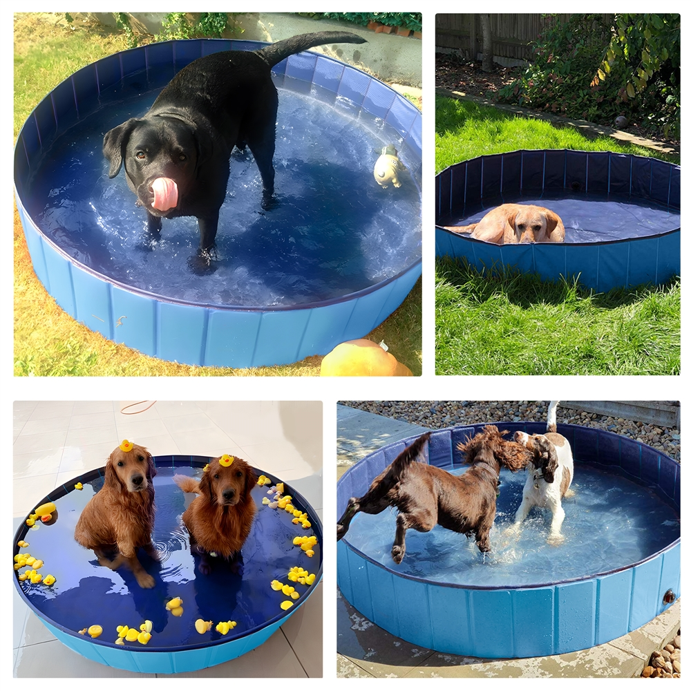 Alden Design 63'' Foldable Pet Swimming Pool for Indoor and Outdoor, Blue