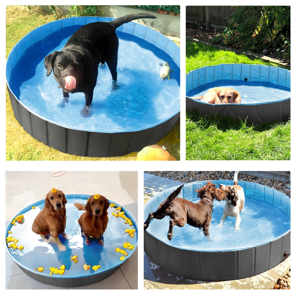 Alden Design 63'' Foldable Pet Swimming Pool for Indoor and Outdoor, Blue
