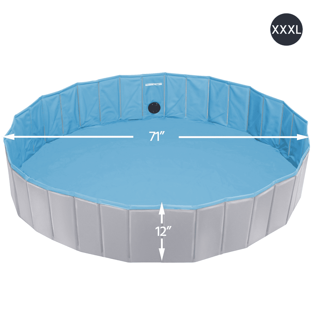 Alden Design 63'' Foldable Pet Swimming Pool for Indoor and Outdoor, Blue